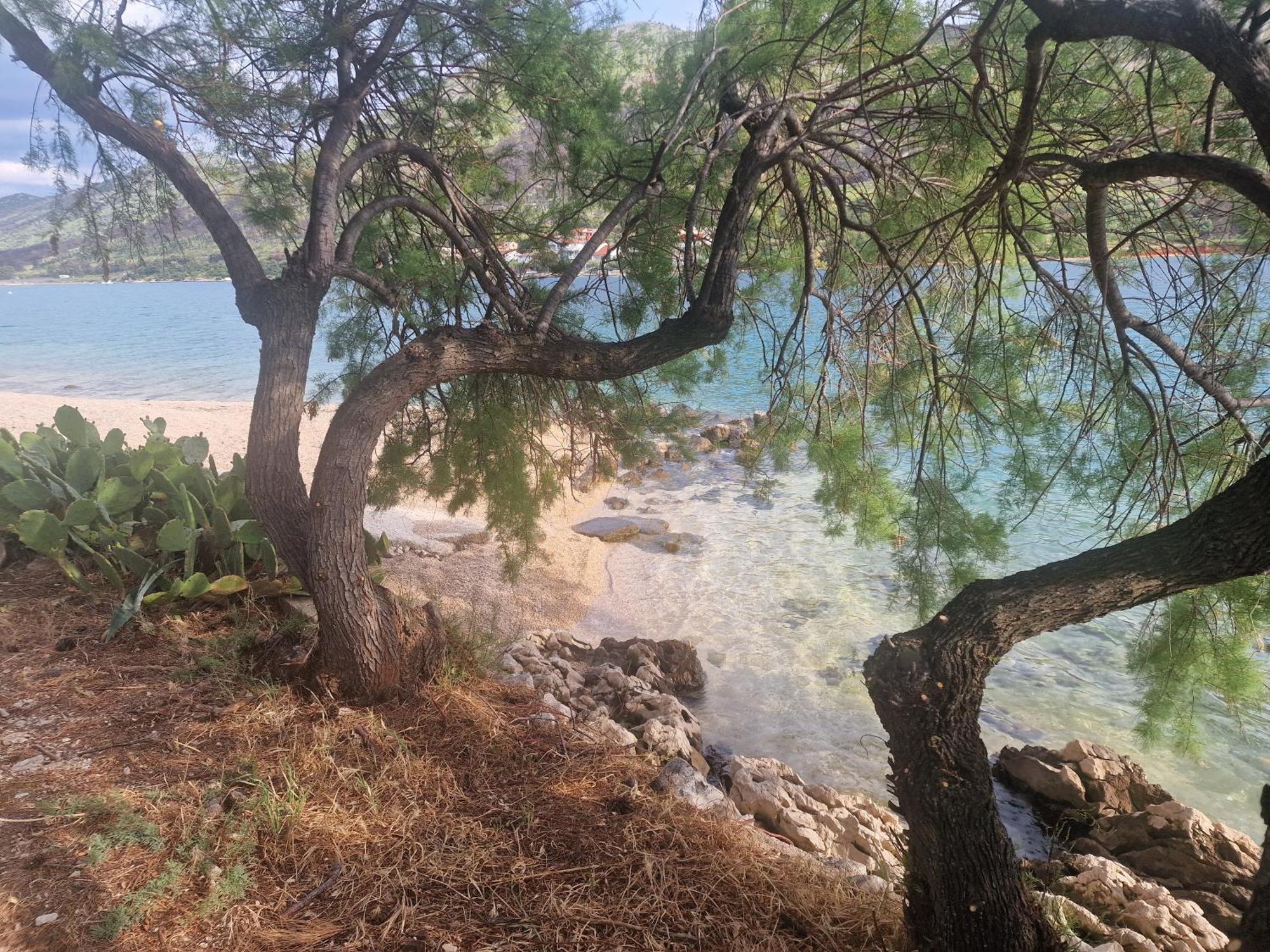 Camp Ante-Gojko Hotell Grebaštica Rum bild